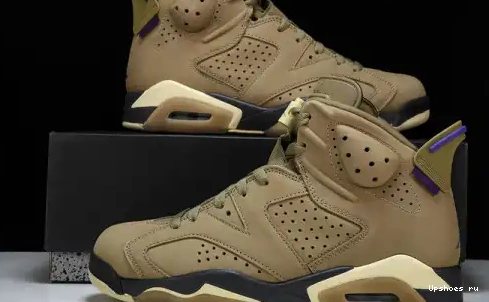 FD1643-300 6 Kelp Retro Jordan  Gore-Tex Brown FD1643-300 0517